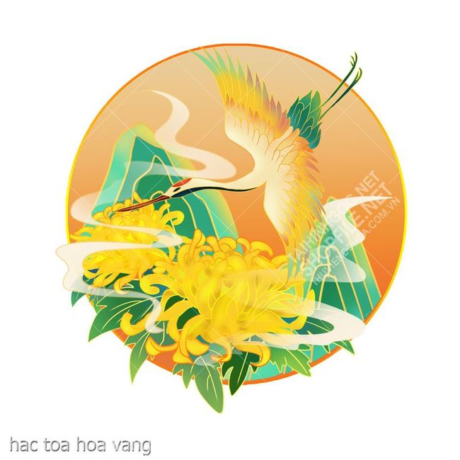 hac toa hoa vang